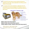 Non-Invasive Laser Therapy